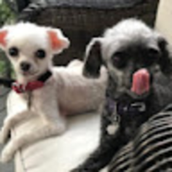 Meet your Posher, Claudia - Picture 1 of 1